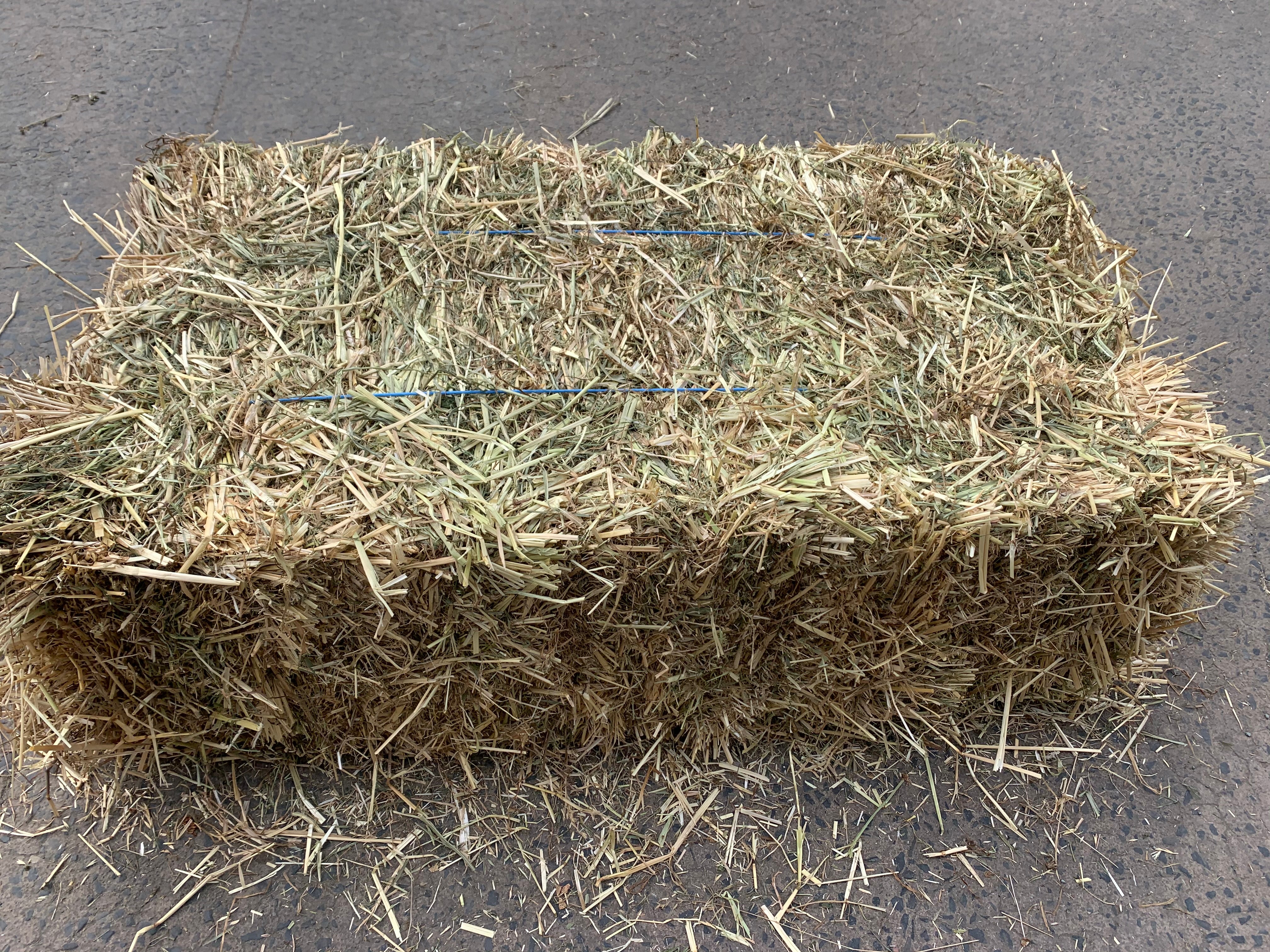 Hay